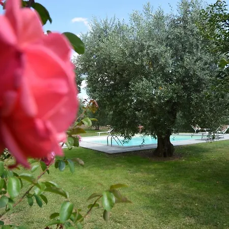 Favolosa In Toscana Lucignano