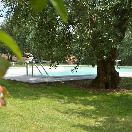 Favolosa In Toscana Villa *